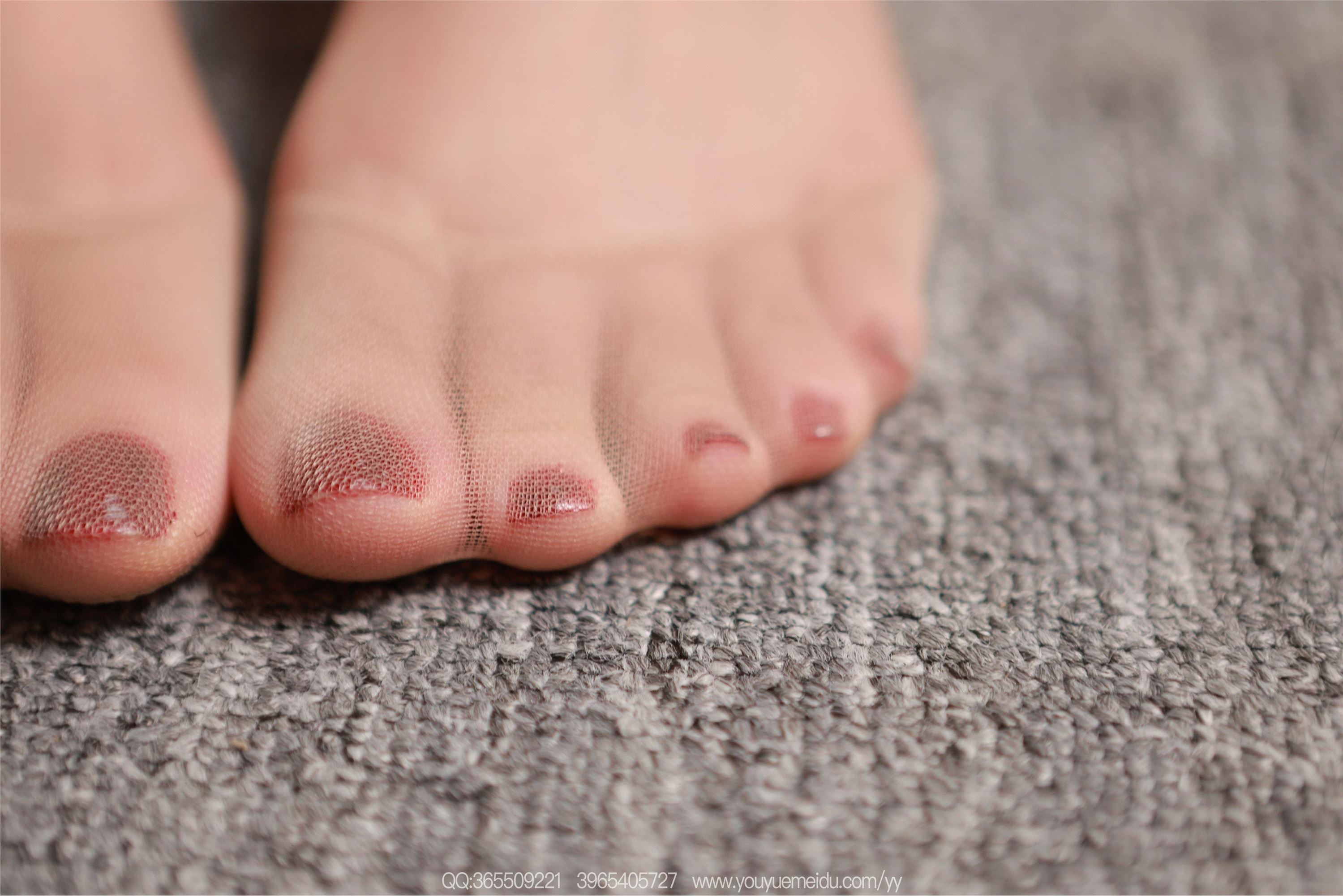 IESS异思趣向  2025.11.18 丝享家2214：团团《美腿肉丝》